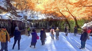 日本北輕井澤白絲瀑布2/5瀑布 Shiraito Falls, Karuizawa (Japan)