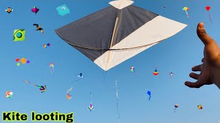 Kite looting ki  🪁 | patang loot li 😎| kite looting new  | kite looters