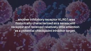 Anti-Correlation Between KLRG1 and PD-1 in Tumor CD8 T Cells | Oncotarget