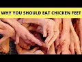 Health Benefits and Risks of Eating Chicken feet