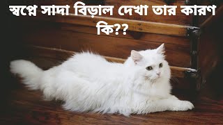 স্বপ্নে সাদা বিড়াল দেখা কিসের ইঙ্গিত??What does it mean to see a white cat in a dream??#dream