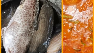 Hamourfish cutting and curry making/ അഴുകമീൻ കട്ടിങ്ങും കറി യൂം/#fish cutting #ageestaste #youtube