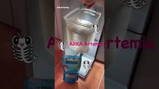 Artemia hatching process || Betta, Guppy fish fry's live food || ARKA Artemia eggs || #shorts