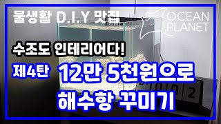 [물생활 D.I.Y] 12만 5천원으로 초저가 해수항 세팅하기!!