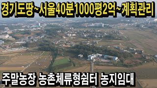 경기도땅서울40분 1000평 낙찰가2억 귀농귀촌 주말영농체험 텃밭 주말농장 농촌체류형쉼터 전원주택 농지연금 농지임대 스마트팜 경매땅공매땅