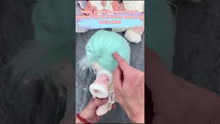 Immersive plush doll hair styling experience