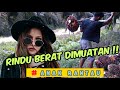 RINDU BERAT DIMUATAN || KELAPA SAWIT TOJOK RIAU#shorts