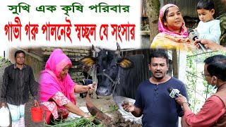 সুখী এক কৃষি পরিবার। গাভী গরু পালনেই সচ্ছল যে সংসার ।গাভী গরুর খামার.গরু পালন Cow Farm in Bangladesh