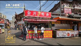 Shanghai Millennium Old Town: Zhoupu  \\4K