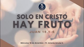 18/12/24 - Solo en Cristo hay fruto (Juan 15:1-6) | Pr. Antonio Urrutia V.