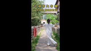 一学就会，越练越协调 #养生 #太极养生动起来 #八段锦 #居家锻炼 #豫记