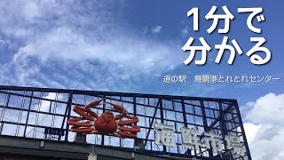 道の駅　舞鶴港とれとれセンター　車中泊　京都府　舞鶴市　1 分で分かる　お風呂　温泉　買い物　野宿　無料キャンプ場　#494