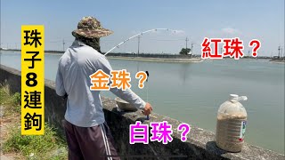 ［釣魚］布袋釣遊 使用 金珠 紅珠 白珠 假餌釣魚