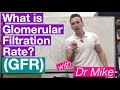 Glomerular Filtration Rate (GFR) | Renal System