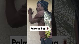 Palmetto bug vs Floridians #omgitswicks #florida #comedy