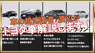 TOYOTA展示会（福井県産業会館）最速レポート