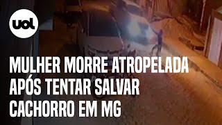 Mulher morre atropelada após tentar salvar cachorro em MG; motorista fugiu sem prestar socorro