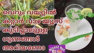 Aloe vera Juice | വെറും വയറ്റിൽ കറ്റാർ വാഴ ജ്യൂസ്‌ കുടിച്ചാലുള്ള ഗുണങ്ങൾ അറിയണോ