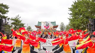 [4K] 名古屋大学“快踊乱舞”　京都さくらよさこい 2021 1日目 神宮道 さくよさ