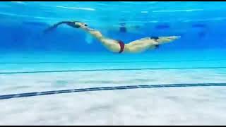 Finswimming Demonstration by Blue sir 蹼泳示範