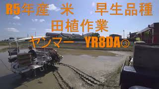 ヤンマーYR8DA（蜜苗）田植作業風景　R5年5月