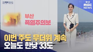 이번 주도 무더위 계속...오늘도 한낮 33도 (2024-08-12,월/뉴스투데이/부산MBC)