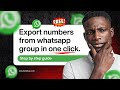 How to Export All WhatsApp Group Contacts to Excel | In One Click