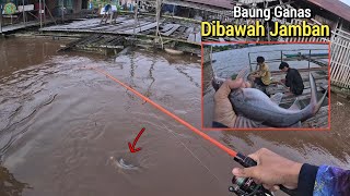 NAGIIHH !!!  MANCING BAUNG DI SPOT ANTI BONCOS LANTING TER APUNG UMPAN KUCUR