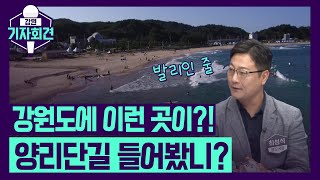 [강원기자회견 28회 Ep.1]보도국장도 발리 현지인 줄 알았던 양리단길!