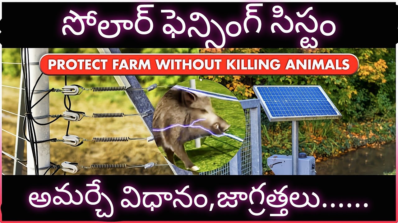 Solar Fencing System For Agriculture Youtube