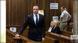 Oscar Pistorius Day 13 Summary