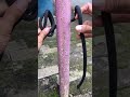 amazing knot in our daily life diy survivalknots knotskill