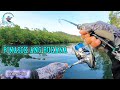 Pinasok ang bukana | fishing rod field test | Seahawk explorer fj 662 UL