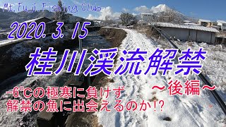 【渓流】山梨県桂川ついに解禁!!後編　2020.3.15