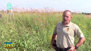 Pheasant Hunting Guidelines and Safety Tips, Iowa DNR