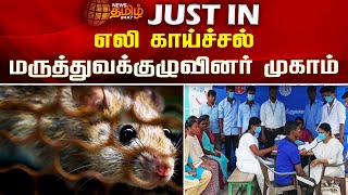 எலி காய்ச்சல் - மருத்துவக்குழுவினர் முகாம் | Rat Fever | Kallakurichi | MedicalTeam | Newstamil24x7