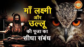 Diwali 2021: Maa Laxmi And Owl Connection | दिवाली पर उल्लुओं की पूजा का लक्ष्मीजी से क्या है संबंध?