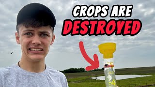 Prayed for Rain and GOT Hail and 5 inchs of Rain in 4 hours!!! How bad are the Crops?