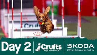 Day 2 Live 🔴 | Crufts 2026