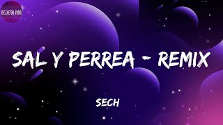 Sech -Sal y Perrea - Remix(letra)