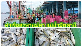 ท่าเรือประมงสะพานปลา แม่น้ำปัตตานี เช้านี้ เป็นอย่างไร