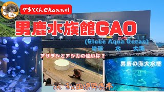 男鹿の海大水槽　アザラシとアシカの違いは？　男鹿水族館GAO　(Globe Aqua Ocean) 　(地球　水　大海) in 秋田県男鹿市