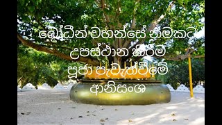 බෝධීන් වහන්සේ නමකට බෝධි පූජා පැවැත්වීමේ ආනිසංශ​