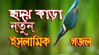New Bangla Islamic Gaan 2018 | Heart Touching Islamic Song | Muslim Media