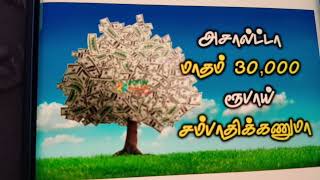 பெண்களுக்கான எதிர்கால தொழில் ஐடியா.! #businessidea #tamilvlog #dailyvlog #business