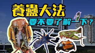 【Pet Insects】寵物昆蟲是有趣還是惡心？來北京看一看大家都在養什麼蟲子當寵物吧！