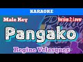 Pangako by Regine Velasquez (Karaoke : Male Key : Lower Version)