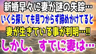 【修羅場】新婚1ヶ月目で妻が謎の失踪→8年後この世にいないと思っていた妻が生きていた…！しかし妻はもう…