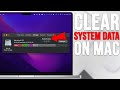 How to clear System Data on Mac [5 Methods]