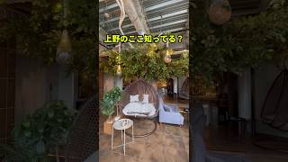 朝5時まで営業中！上野の隠れ家シーシャカフェ＆バー【muse】